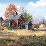 Autumn Walk